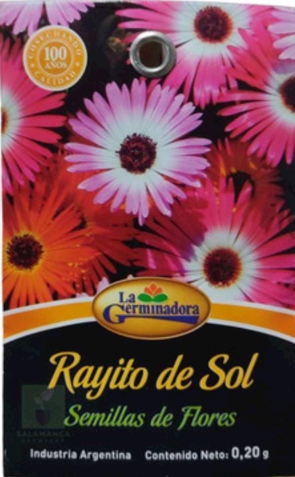 Flores surtidas temporales